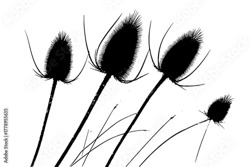 Whispers Wild: Study Nature's Textures | Clean, isolated vector art for creative projects.