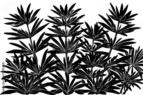 Tarragon Snowdrop Leaves: Black White Print | Clean, isolated vector art for creative projects.