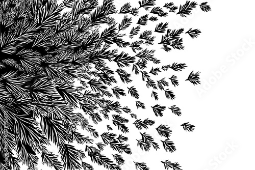 Whispers Nature: Symphony Spruce Sorrel | Clean, isolated vector art for creative projects.