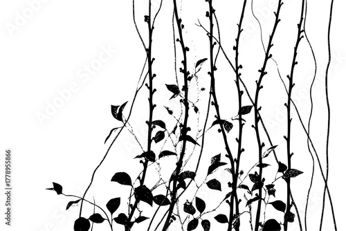 Whispers Spring: Vibrant Display Crataegus Cornus Sericea | Clean, isolated vector art for creative projects.