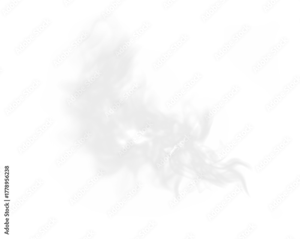 Fototapeta premium Ethereal white smoke overlay, creating a soft and dreamy atmosphere, perfect for artistic backgrounds and creative design projects with copy space
