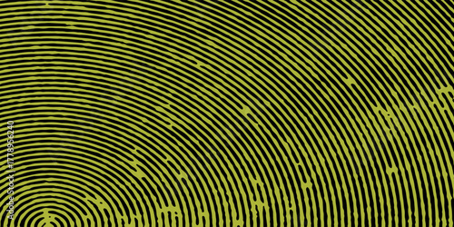 Abstract background with black and yellow curved lines. The background features a gradient with black and yellow hues and a smooth texture. Gradient wave background vector. Green background.