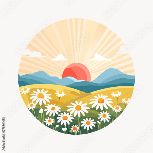 Late summer country landscape with daisies meadow and sunbeam