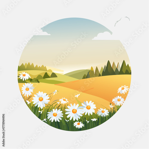 Late summer country landscape with daisies meadow and sunbeam