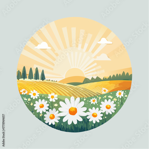 Late summer country landscape with daisies meadow and sunbeam
