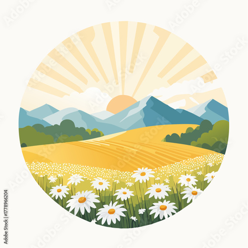 Late summer country landscape with daisies meadow and sunbeam