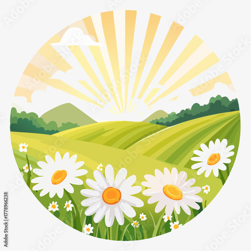 Late summer country landscape with daisies meadow and sunbeam