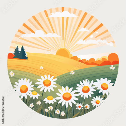 Late summer country landscape with daisies meadow and sunbeam