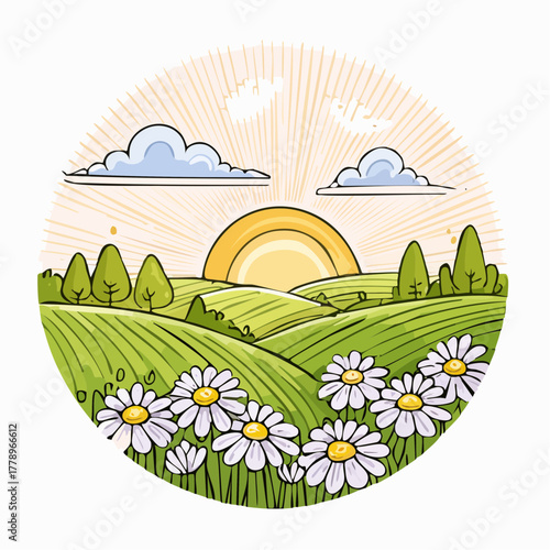 Late summer country landscape with daisies meadow and sunbeam