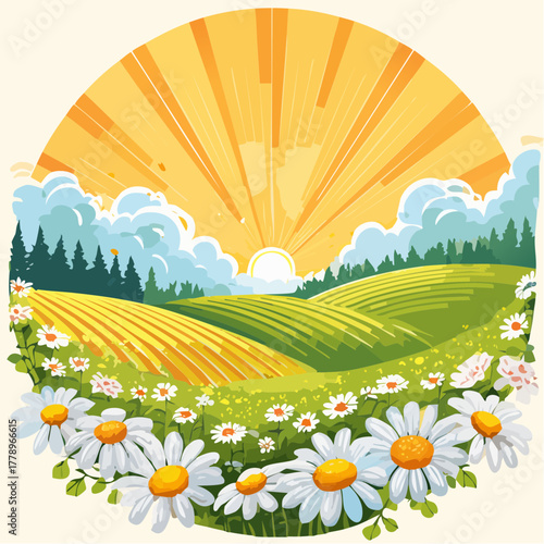 Late summer country landscape with daisies meadow and sunbeam