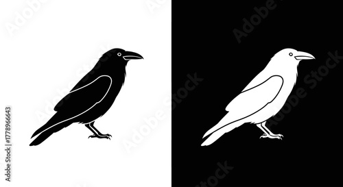 A symmetrical design of a black raven on white and a white raven on black, illustrating contrast and duality.