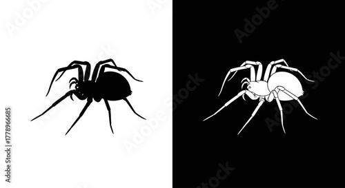 A graphic illustration of a spider in two contrasting versions: a black silhouette on white and a white outline on black.