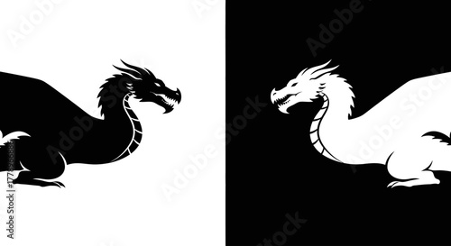 A graphic illustration of two opposing dragons, one black and one white, representing duality, balance, and contrast on a split background.