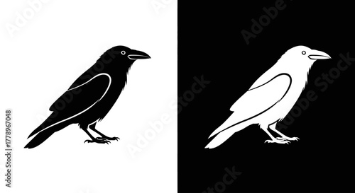 A graphic illustration of a black crow on a white background and a white crow on a black background.