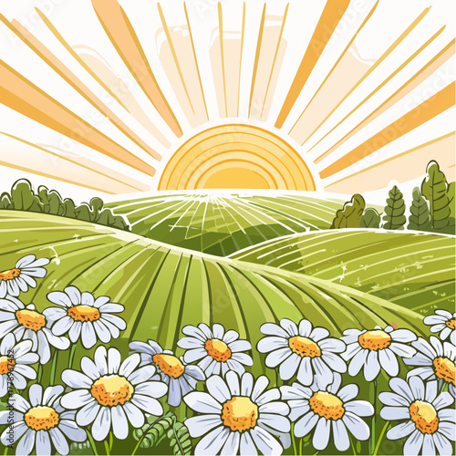 Late summer country landscape with daisies meadow and sunbeam