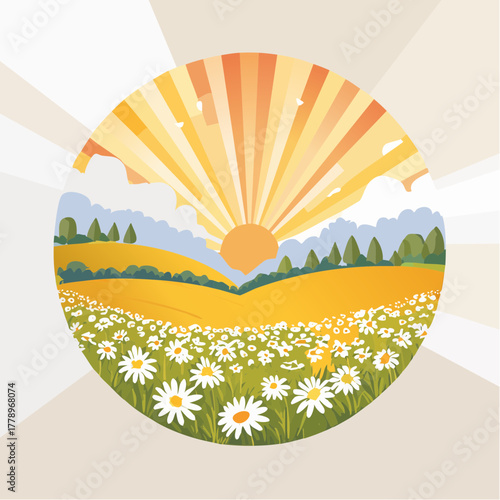 Late summer country landscape with daisies meadow and sunbeam