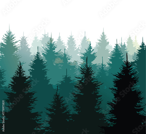 Coniferous forest with fir trees in the fog