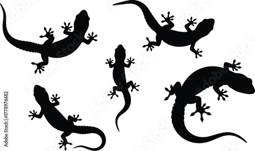 Silhouette of five lizards with tails and feet on a white background