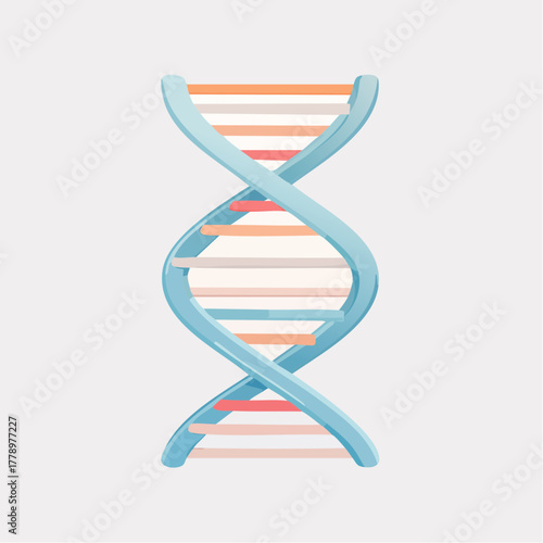 DNAの二重螺旋構造のベクターイラスト