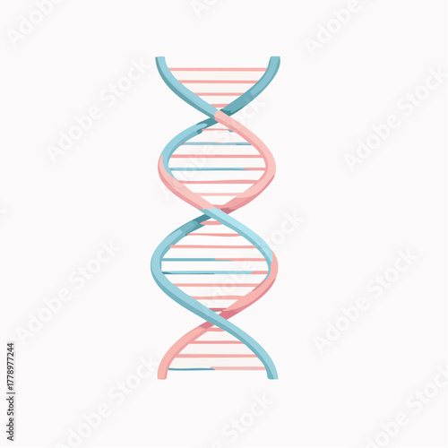 DNAの二重螺旋構造のベクターイラスト