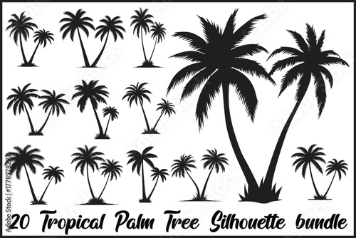 Tropical Palm Tree Silhouette Bundle