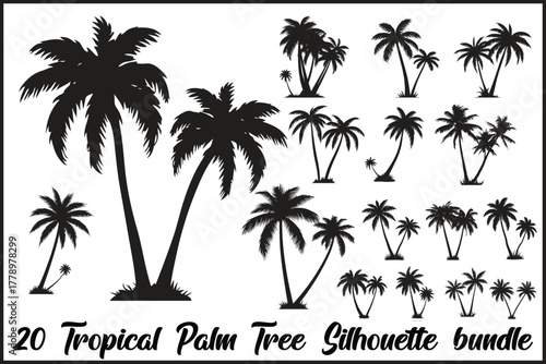 Tropical Palm Tree Silhouette Bundle