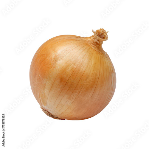 Wallpaper Mural A single, ripe yellow onion isolated on a transparent background, showcasing its papery skin and root end Torontodigital.ca