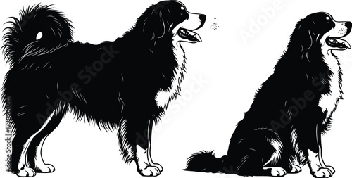 Two black and white dogs one standing and one sitting illustration