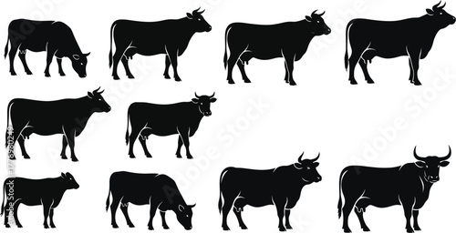 Collection of black cow silhouettes on a white background pattern