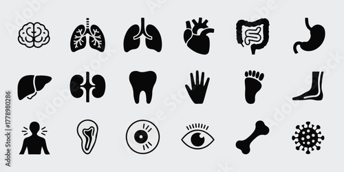 Minimalist black and white medical vector icons, 18 silhouettes in 2-row grid, precise anatomy brain, heart, lungs, stomach, liver, kidneys, eye, ear, hand, foot, virus, professional, clean, modern.