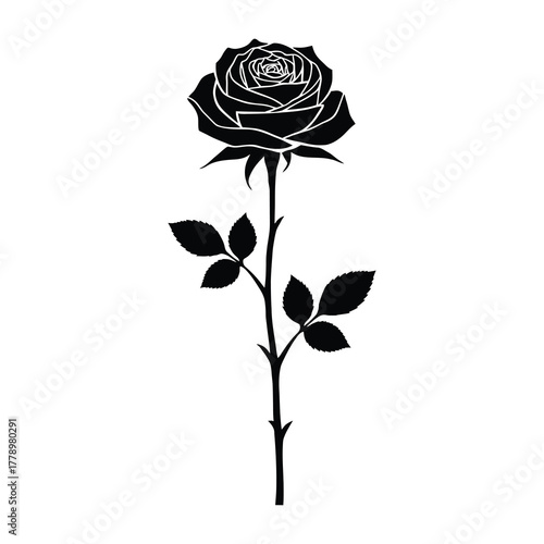 Silhouette of a Black Rose: An elegant, isolated black rose blossom stands tall, its petals and stem defined against the pure canvas, conveying a sense of classic beauty.