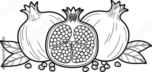 Outline drawing of pomegranates with seeds and leaves in black and white