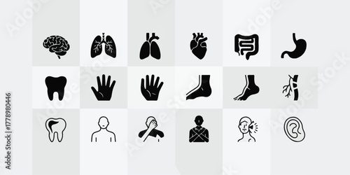 Minimalist black and white medical vector icons, 20 silhouettes in 2-row grid, precise anatomy brain, heart, lungs, stomach, liver, kidneys, eye, ear, hand, foot, virus, professional, clean, modern.
