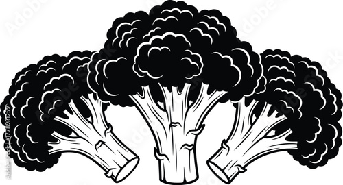 Three broccoli florets in black and white vector illustration art
