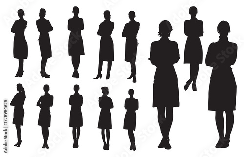 Silhouette of a businesswoman in an apron with crossed arms standing in front of a cashier. A businesswoman starting a new business. Some business concepts.

