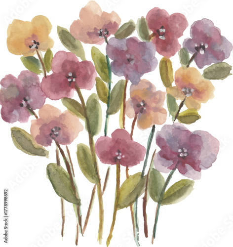 Adobe Illustrator Artwork