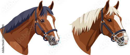 Two cartoon horses with varied manes and muzzles in flat vector style  