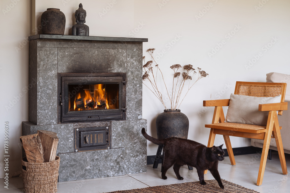 Naklejka premium Cozy living room with modern fireplace and black cat on a winter day