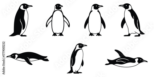 A collection of black and white penguin vector icons shown in various dynamic poses such as standing, walking, and swimming. This graphic set features simple, stylized arctic bird illustrations