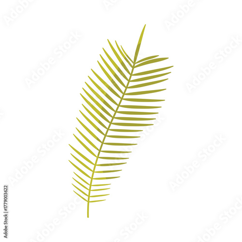 Single green palm leaf isolated on white background, symbolizing Israel tradition vector illustration