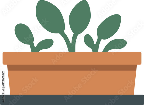 Rectangular planter box with green sprouts
