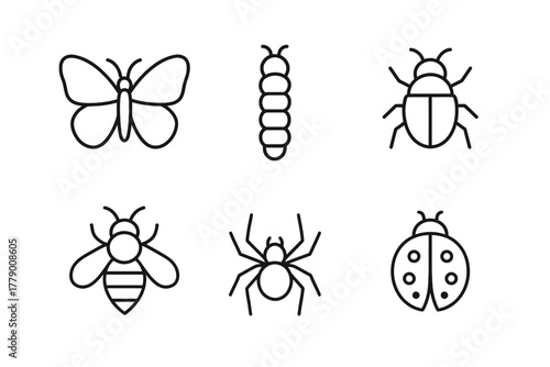 Insect icons collection: butterfly, caterpillar, beetle, bee, spider, ladybug illustrations