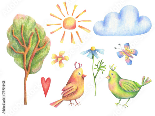 Cute birds tree summer clipart set isolated on transparent background. Cartoon hand drawn illustration collection of bird, flower, sun, butterfly. Bright kids summer nature design