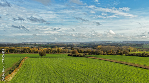 Aerial view of green farmland fields with tree-lined hedgerows, distant hills and a bright blue sky. Peaceful rural countryside scene showing open agricultural landscape in natural daylight.