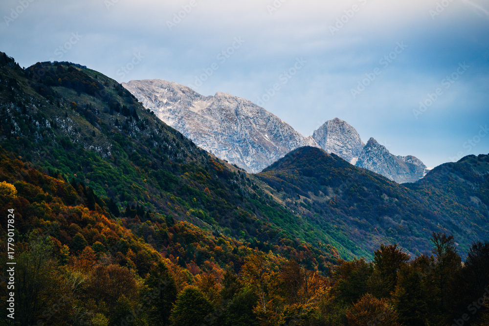 Naklejka premium Autumn magic in the Julian Alps. Resia Valley, the woods on the border between Italy and Slovenia.