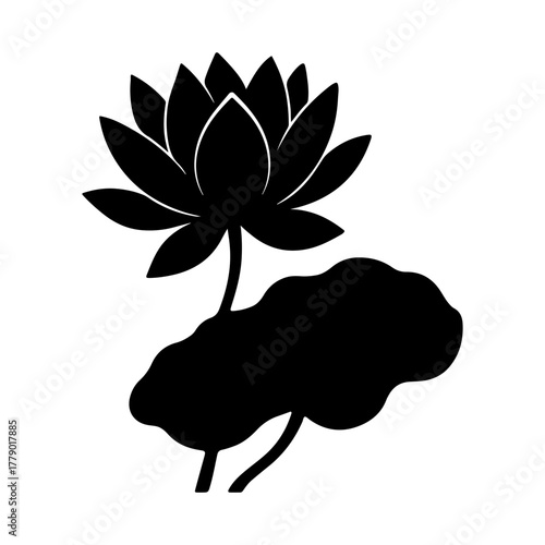 Elegant silhouette of a blooming lotus flower with a large leaf on a white background