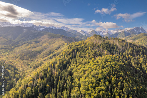 Fototapeta Naklejka Na Ścianę i Meble -  Panoramic aerial view of autumn forested mountains, Tatra range, Poland