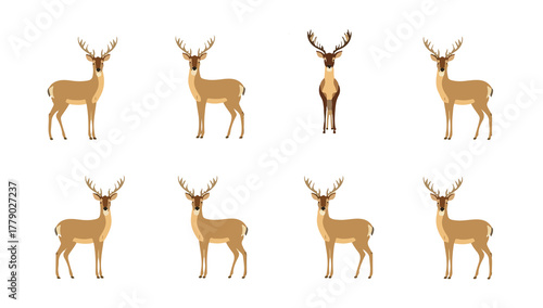 illustration template featuring a deer with multiple models displayed in a flat design style, incorporating bold lines, minimal shading with png Transparent 