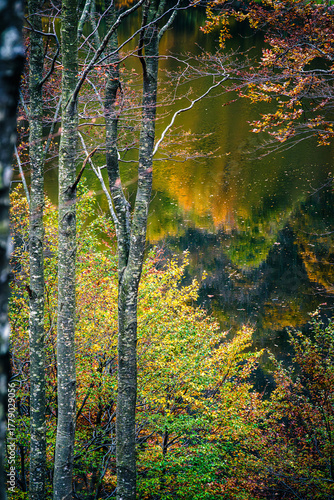 Autumn magic in the Julian Alps. Resia Valley, the woods on the border between Italy and Slovenia.