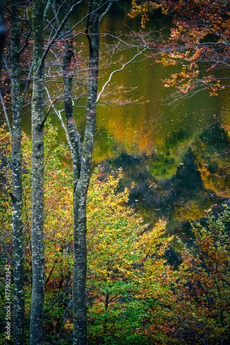 Autumn magic in the Julian Alps. Resia Valley, the woods on the border between Italy and Slovenia.